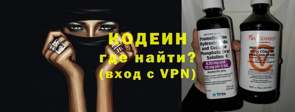 индика Баксан