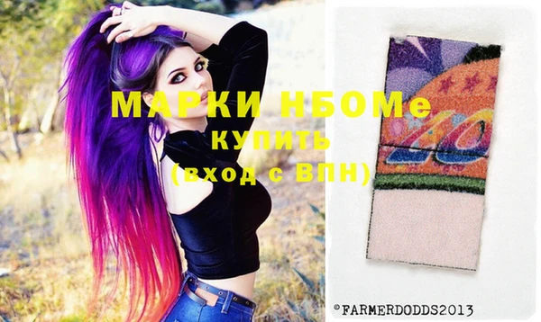 индика Баксан