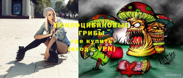 индика Баксан