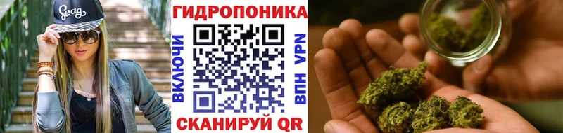 Бошки марихуана гибрид  Вытегра 